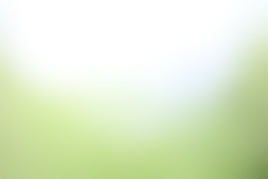 blurred soft green gradient colorful light shade background