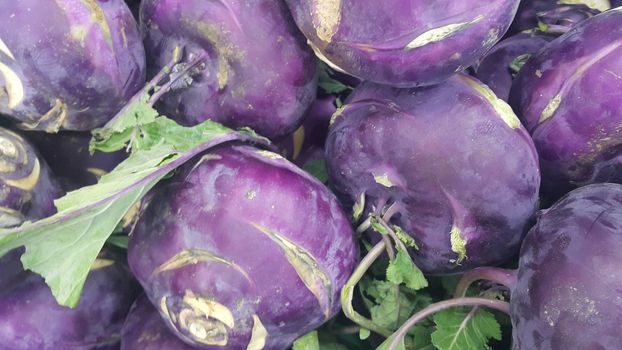 Fruits background: Purple fresh kohlrabi turnip in supermarket for sale