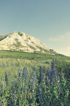 Beautiful summer landscape, high mountain, tinted image