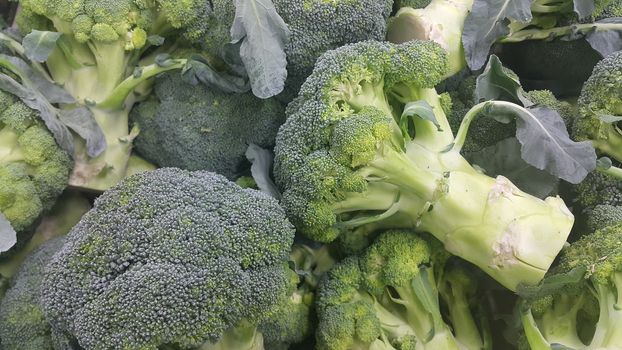Vegetable background: Broccoli cabbage  green pile in supermarket. It is full of vitamins, minerals, fiber and antioxidants.