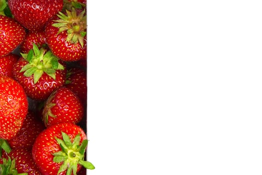 border from organic strawberries on left side with on white background mockup for text