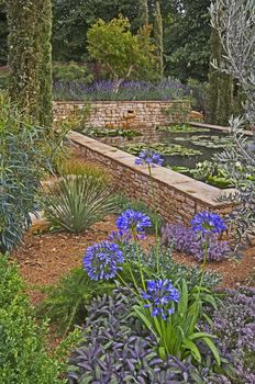 An attractive water garden with water lilies in a woodland setting of Cyprus trees