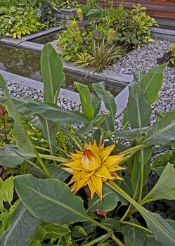 A tropical show garden with water features flowers and exotic plants