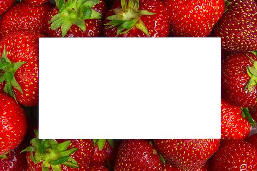 Juicy organic strawberries on background with white mockup card