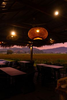 Beautiful pink sunset in the tropics. Street canopy from hay, kitchen area with rice field view.