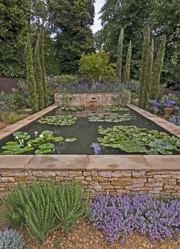 An attractive water garden with water lilies in a woodland setting of Cyprus trees