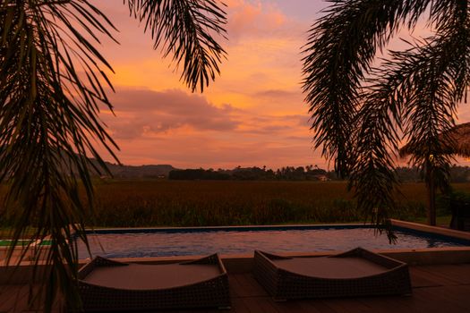 Palm tree is on the background of an unusual fiery red tropical sunset overlooking the pool in the courtyard