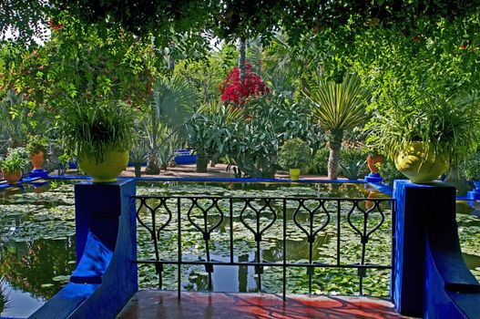 The view of the ornamental pool in Marrakech with palms, Bougainvillea, waterlilies and colourful containers