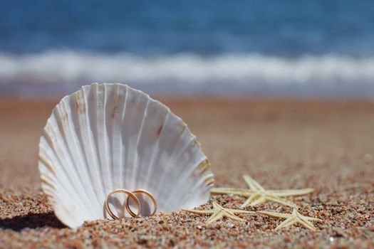 Sea shells and starfish with wedding rings on the beach. Summer vacation concept. Family holidays by the sea. High quality photo