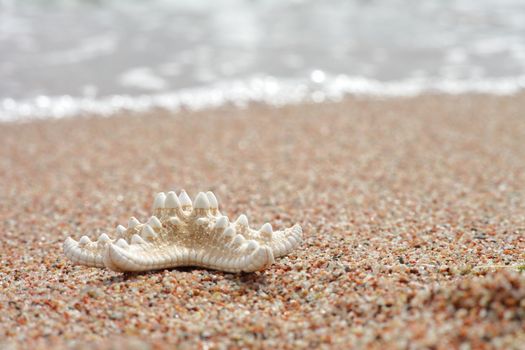 Starfish on the beach. Sandy beach with waves. Summer vacation concept. Holidays by the sea. High quality photo