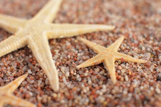 Starfish on the beach. Sandy beach with waves. Summer vacation concept. Holidays by the sea. High quality photo