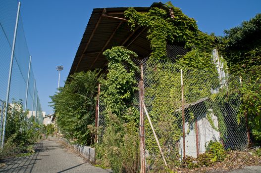 Nature is taken over the main stand of the demolished Stade de la Palla football stadium in Valence, France.