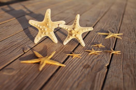 Starfish on a wooden pier poured over a wooden deck. Summer vacation concept. Holidays by the sea. High quality photo