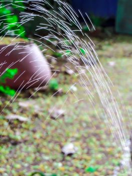 blur line of water has leak from rubber tube on green plant