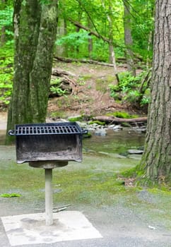 Vertical shot of a heavily used grill at a picnic area with trees and a stream behind it.