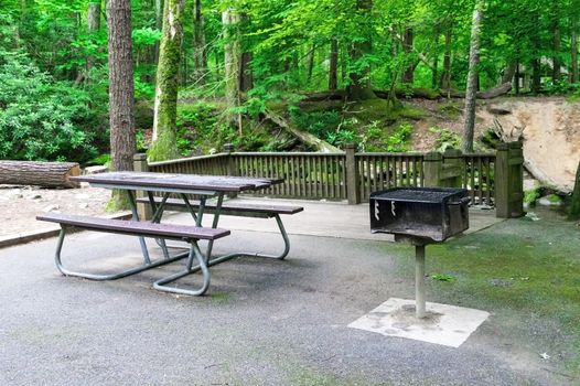 Horizontal shot of a picnic table and barbecue grill in a wooded area with a fence behind it.