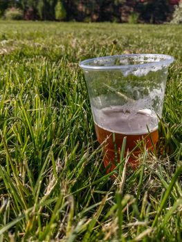 half drunk cup of beer on green grass