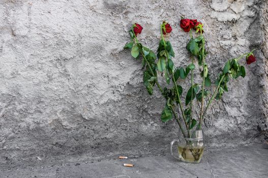 Roses dying abandoned on the ground in a mug with dirty water