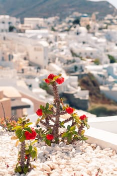 Classical view on the decoration and architecture of Oia village Santorini at sun weather