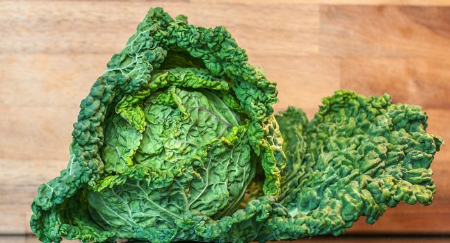 curly savoy cabbage
