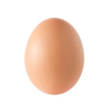 Single brown chicken egg on white background, with clipping path