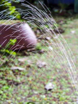 blur line of water has leak from rubber tube on green plant