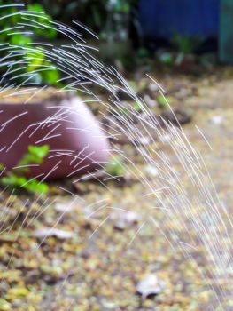 blur line of water has leak from rubber tube on green plant