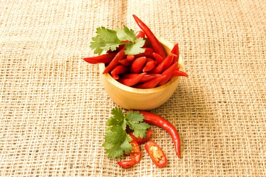 Chili - The pepper plants to the nature of the sphere of the long spikes  
