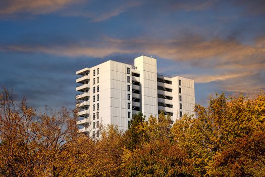 A white concrete apartment or condo building rising from the trees in Denver, Colorado