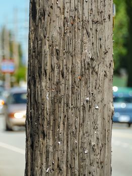 Wooden pillar on a street in Vancouver. Street marketing. Place your ad for free. Place classifieds for free