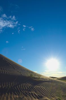 Sun shining over sand dunes in the desert of Lavalle, province of Mendoza, Argentina