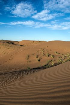 Dunes extend to the horizon in Altos Limpios, a desertic natural reserve in Mendoza, Argentina.