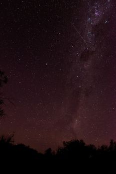 The milky way across the night sky as seen from the desert of Lavalle, in the province of Mendoza, Argentina.