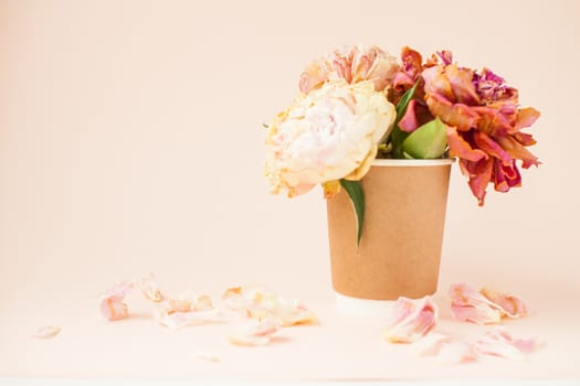 Beautiful dried pink peonies in a disposable paper cup on a light pink background