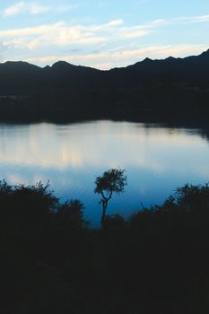 Lone spiny tree silhouetted against the  twilight sky reflections over lake Potrero de los Funes, in San Luis, Argentina.