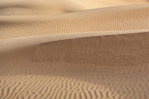 Beautiful sand dune in Thar desert, Jaisalmer, Rajasthan, India.