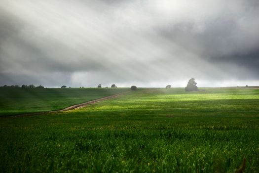 Green meadow lit by epic sunbeams on a stormy day in San Luis, Argentina.