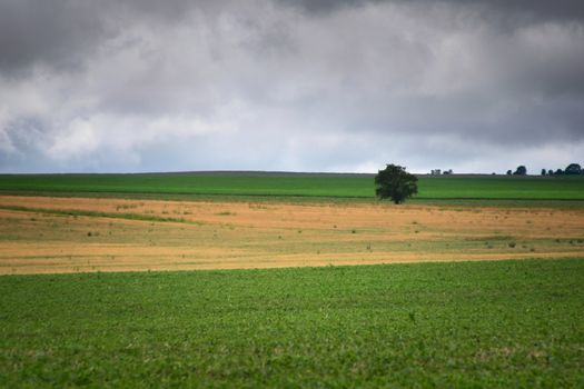 Heavy storm clouds looming over a meadow in San Luis, Argentina.