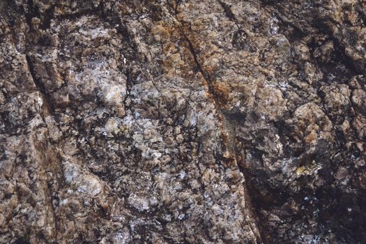 Natural granitic rock texture. Close up detail.