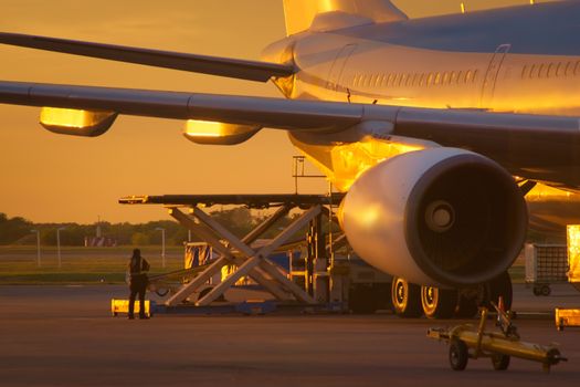 Airport ground crew loading cargo and luggage on a commercial aircraft at dawn.