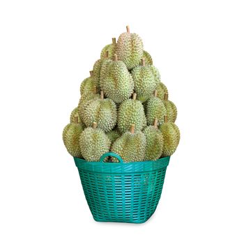 Pile of Durian, Durian fruit in a green basket for sale, Durian is king of fruits southeast Thailand, Durian many in basket sale on white background