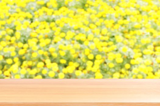 wood plank on blurred flower yellow soft background, empty wood table floors on blurred flower yellow soft garden nature background, wood table board empty for mock up display products