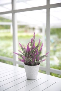 purple flower in jar