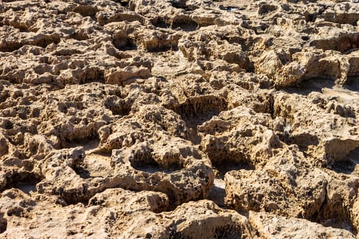 Texture of sea coast rocks on a sunny day. Abstract background for design.