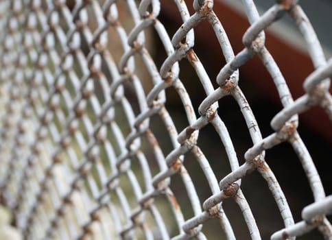 metal mesh fence in the park close up.