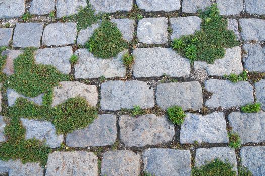 gray paving slabs overgrown with green grass