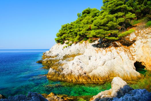 turquoise water, pine trees and rocky coastline of Skopelos, Greece