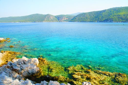 turquoise water, pine trees and rocky coastline of Skopelos, Greece