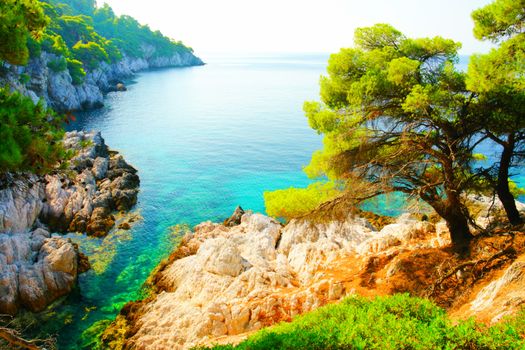 turquoise water, pine trees and rocky coastline of Skopelos, Greece