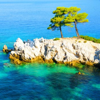 turquoise water, pine trees and rocky coastline of Skopelos, Greece
